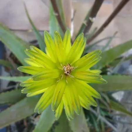 Sea View Alabe Hébergement de vacances Tresnuraghes