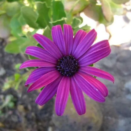 Sea View Alabe Tresnuraghes
