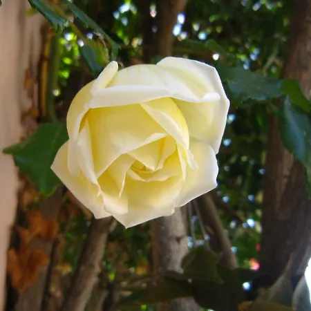 Hébergement de vacances Sea View Alabe *