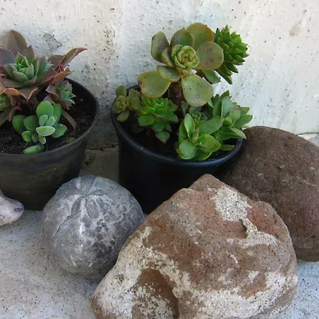 Sea View Alabe * Tresnuraghes