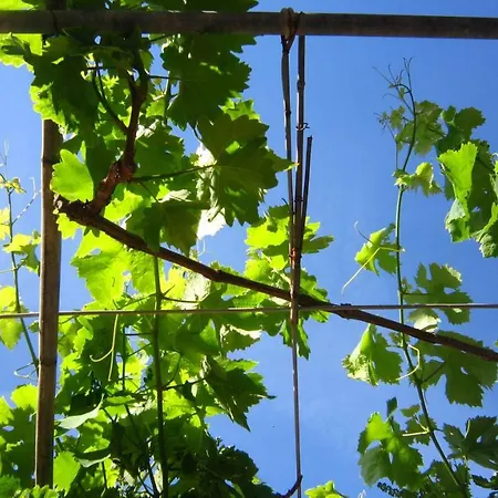Sea View Alabe Hébergement de vacances